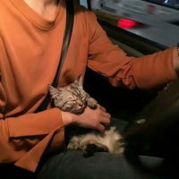  子云