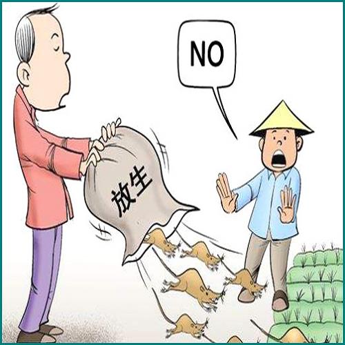 融資融券是什么意思